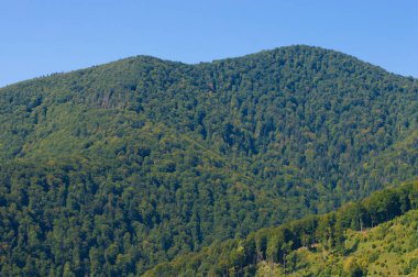 Gökyüzünün arka planında doğa dağı manzarası