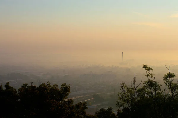 view of the city from high in the morning in the fog