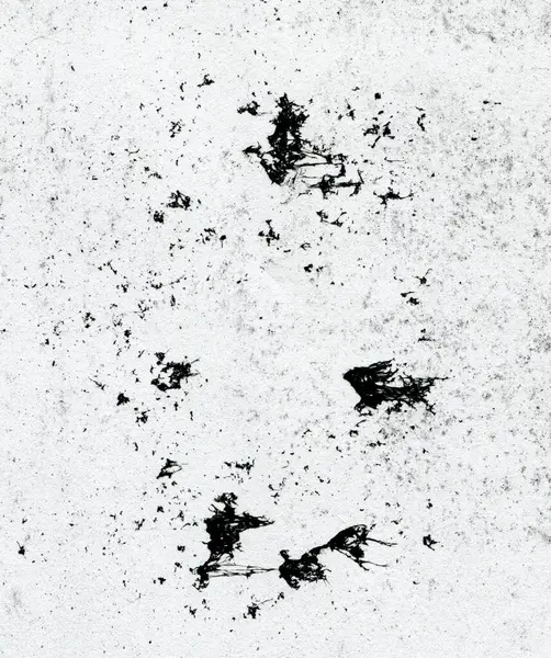 Textura Papel Blanco Con Manchas Negras — Foto de Stock