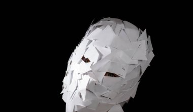 beyaz kağıt çalılardan yapılmış yüz