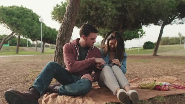 Paar Die Zich Vermaken Bij Picknick Het Park — Stockvideo