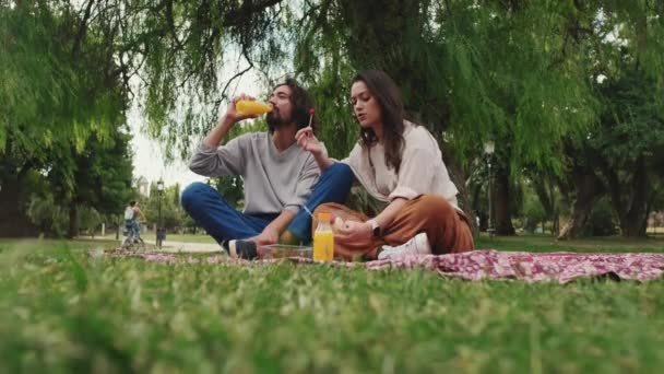 Pareja Disfrutando Aperitivos Bebidas Picnic Parque — Vídeo de stock