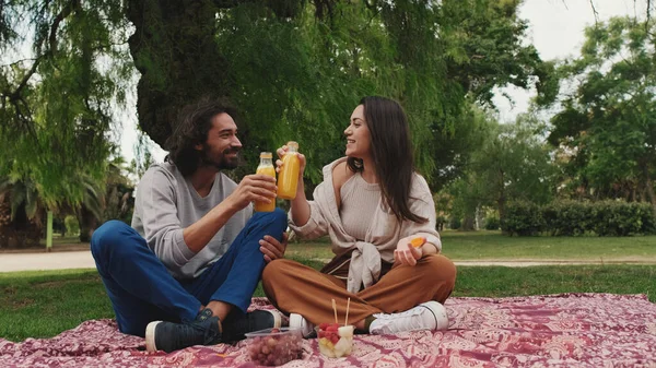 爱笑的夫妻在公园野餐时喝酒 — 图库照片