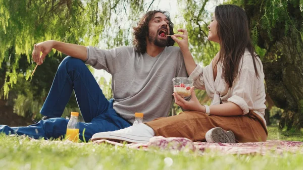 Aşık Bir Çift Parkta Piknikte Cep Telefonu Kullanıyor — Stok fotoğraf