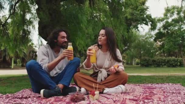 Pasangan Tertawa Memeriksa Minuman Sambil Duduk Atas Selimut Taman — Stok Video