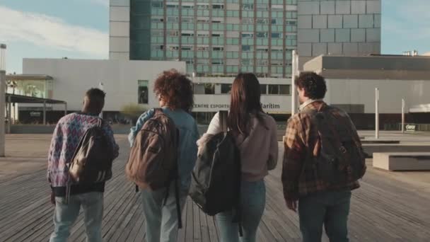 Classmates Students Walk Street Talking Laughing Together Back View — Stock Video