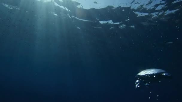 Luchtbellen Stijgen Langzaam Naar Het Wateroppervlak Felle Zonnestralen Middellandse Zee — Stockvideo