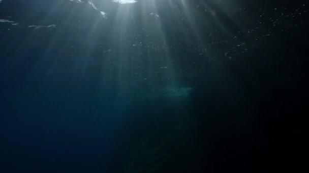 Yavaş Çekim Birinci Şahıs Videosu Akdeniz Elleri Suyun Altında Kürek — Stok video