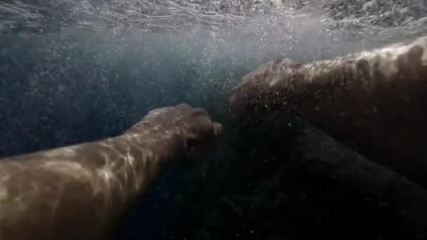 Pov Underwater Shot Man Swimming Surface Water Storm Rocks — стоковое видео