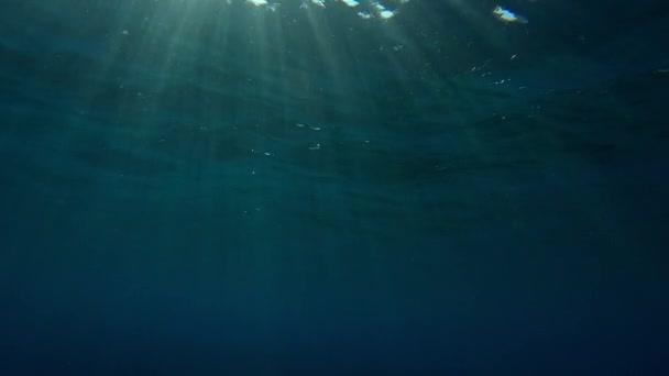 日没時の水面下の明るい太陽光線 水中撮影 — ストック動画