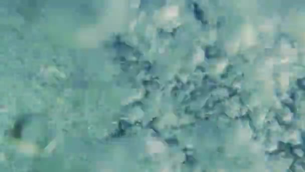 Veel Luchtbellen Onder Het Zeeoppervlak Van Golven Onder Water Geschoten — Stockvideo
