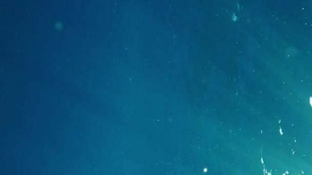 Scholing Van Kleine Vissen Zwemt Onder Blauw Wateroppervlak Felle Zonnestralen — Stockvideo