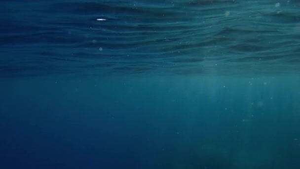 日没時に水面下で明るい日没 水中撮影 — ストック動画