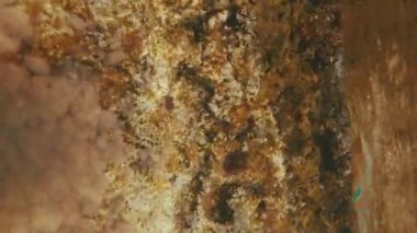 Dikey video, POV sualtı çekimi, kayalık kıyılara yüzen ve kıyı taşlarına tırmanan adam, bölünme seviyesi, birinci şahıs video, Yakın çekim, Akdeniz, Yunanistan