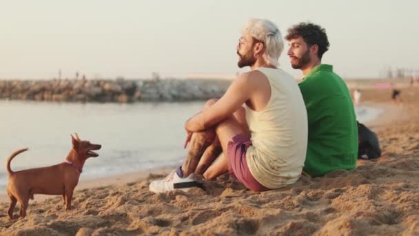 Gay Pareja Amor Pasar Tiempo Juntos Sentado Playa Con Perro — Vídeos de Stock