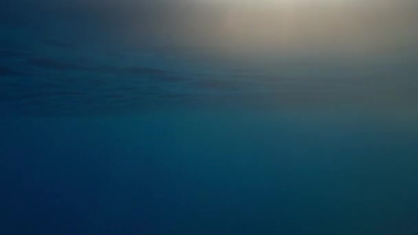 Камера Движется Вперед Поверхностью Голубой Воды Сиянии Заката — стоковое видео
