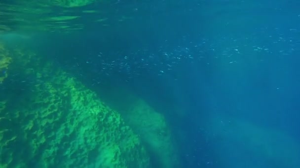 Pov Sualtı Çekimi Adam Akdeniz Altında Yüzüyor Küçük Balıklar Okuluna — Stok video