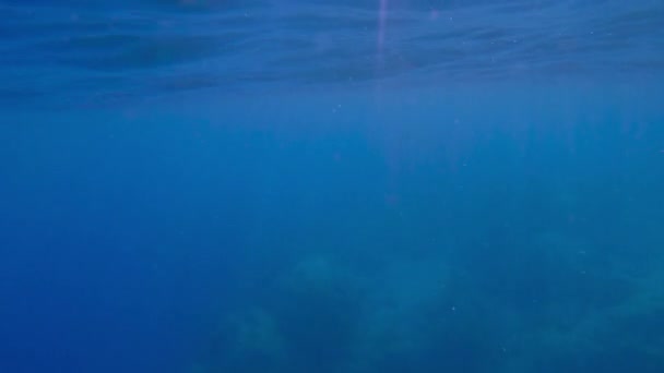 Pov Onderwater Schot Man Zwemmen Onder Het Oppervlak Van Blauw — Stockvideo