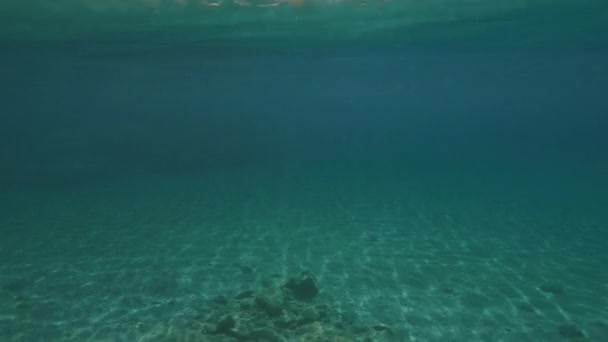 Pov Underwater Shot Man Swimming Sandy Seafloor Surface Blue Water — Stock Video