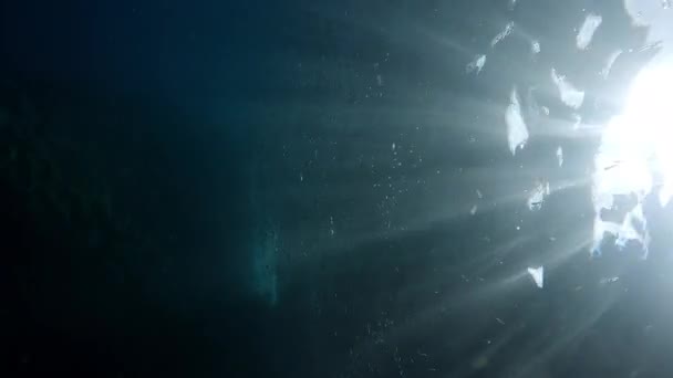 Pov Underwater Shot Man Swims Underwater Bright Rays Sun Vertical — стоковое видео