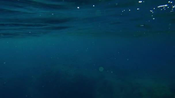 Gün Batımında Suyun Altında Parlak Güneş Sinüsü Sualtı Çekimi — Stok video