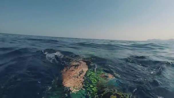 Pov射击 男子划桨与他的鳍在水下航行远离美丽的岩石海岸 — 图库视频影像