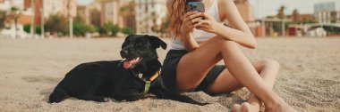 Öğle yemeği vakti. Şirin kız kumsalda evcil hayvanlı sandviçiyle oturuyor. Kız köpeğine sandviçle davranıyor. Modern şehir arka planında sahilde öğle yemeği.
