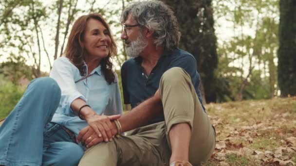 Glückliches Älteres Paar Das Händchen Haltend Park Sitzt Und Lächelt — Stockvideo