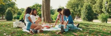 Yaz günü açık havada piknikte gülümseyen mutlu çokuluslu genç insanlar. Arkadaşlar haftasonu eğleniyor, piknikte parkta dinleniyorlar, Panorama