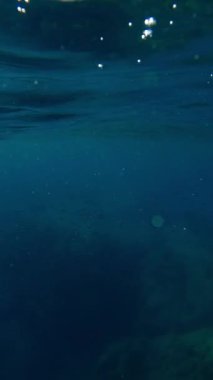 Mavi su yüzeyi ve akşam vakti güneş ışınları ile sualtı deniz manzarası