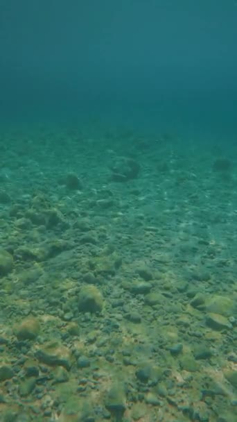 Пов Підводний Постріл Хлопець Плаває Під Водою Над Кам Янистим — стокове відео