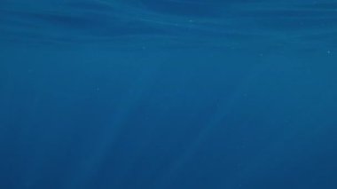 Mavi suyun altında parlak güneş ışınları, doğal sualtı arka planı.