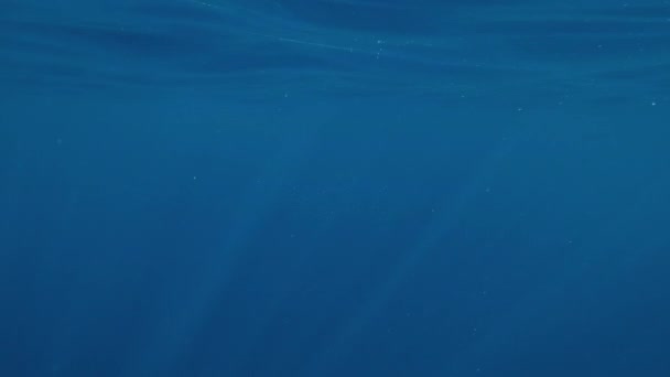 青い水の表面の下で明るい太陽のレイ 自然な水中背景 — ストック動画