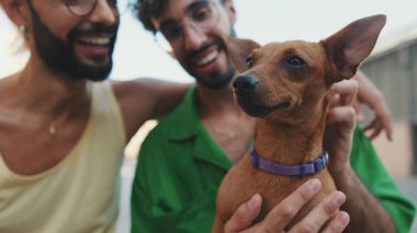 Yakın plan, eşcinsel çift köpekleriyle sokakta oturuyor, arka plan bulanık.