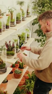 Teraryum yaratmanın son aşaması, bitkileri cam kubbeyle kaplamak, raflardaki çeşitli bitkiler