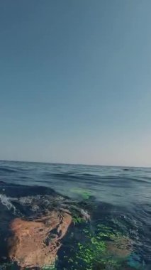 POV çekimi, yüzgeçleri suyun altında yüzen bir adam güzel kayalık kıyılardan uzaklaşıyor.