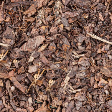 Kusursuz kabuk dokusu. 2k çözünürlüğü.