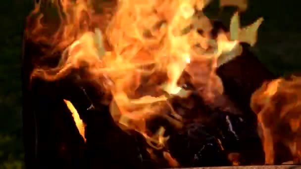 Brand Een Vuurpijl Bij Zonsondergang Zaterdagavond — Stockvideo