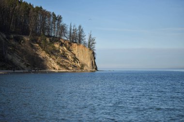 Uçurumu olan bir deniz manzarası ve mavi gökyüzüne karşı büyüyen ağaçlar.
