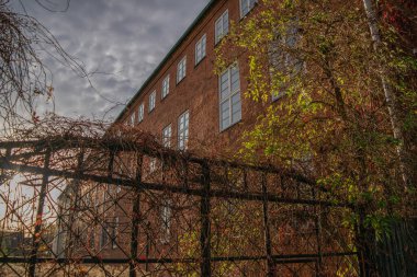 Gün batımında çitin arkasındaki camları bitkilerle kaplı kırmızı tuğla bina.