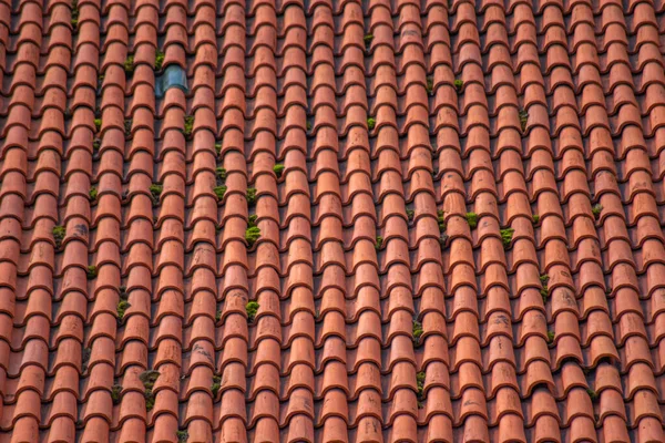 緑色のモスで赤いタイルで覆われた古い建物の屋根の一部 — ストック写真