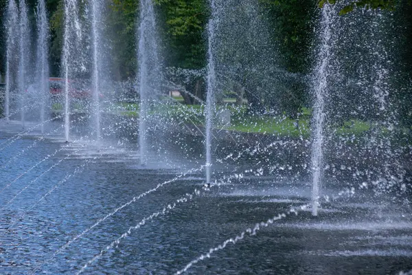 Şehir parkındaki bir fıskiyenin su püskürtüleri ve fıskiyeler yeşil ağaçların arka planına karşı