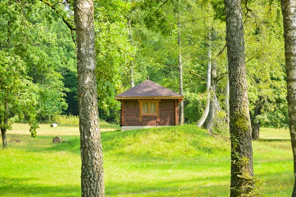 Casa Legno Con Una Finestra Tetto Marrone Costruito Nella Foresta — Foto Stock