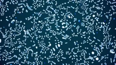 Düz geometrik hücrelerin arka planı beyaz ve mavi