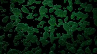 Silah kavramına göre soyut dönüşüm