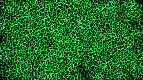 緑色のぼやけの形をした抽象的な動きの背景 ストック動画