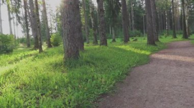 Park panoramik manzarasında halka açık bir yerde sıcak bir yaz günü