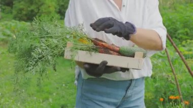 Tanımlanamayan yüzü olan bir kadın bahçede toprağı kazıyor.