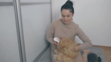Kadın, kedinin uzun tüylerini taramaya çalışır.