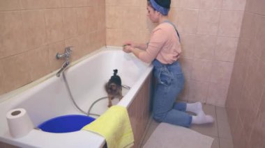 Kadın köpek kılı için saç kremi ekliyor.